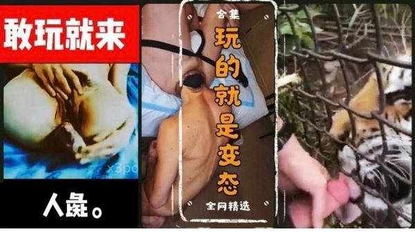 大哥就是牛逼居然让老虎帮忙泻火