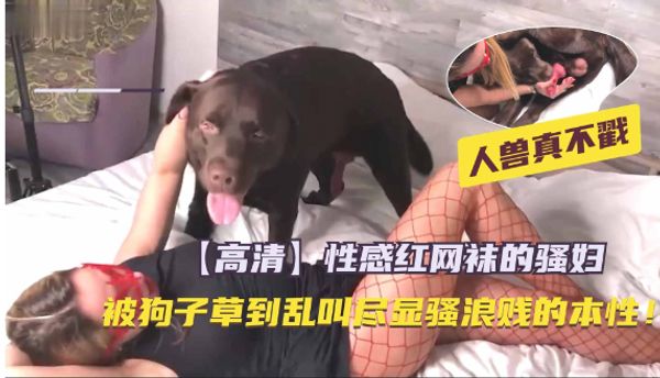网红骚货体验狗子