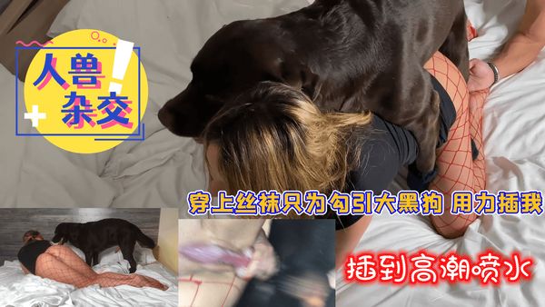 人与兽勾引黑狗插我插到高潮喷水