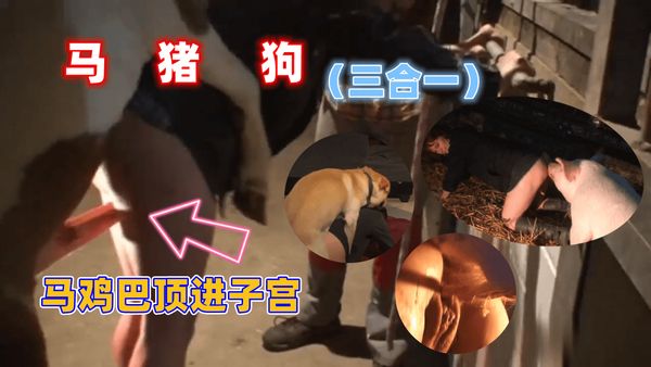 人与兽马猪狗三合一独家稀缺资源