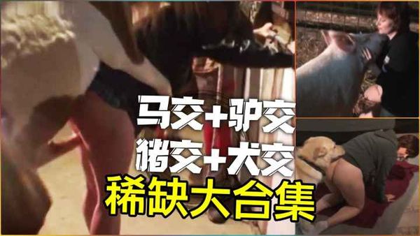 驴马猪犬稀缺合集
