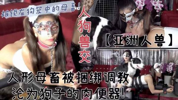 人狗兽交-双马尾的人型母畜被捆绑调教