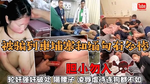 噶你腰子缅甸北，骗你钱财柬埔寨