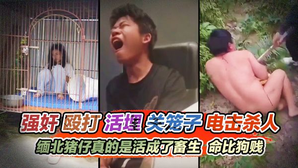 强奸殴打活埋关笼子电击杀人每天都在发生，成为缅北猪仔真的是活成了畜生，人命比狗贱
