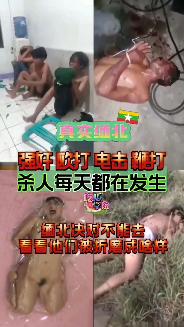 【真实缅北】欧打，电击，杀人每天都在发生