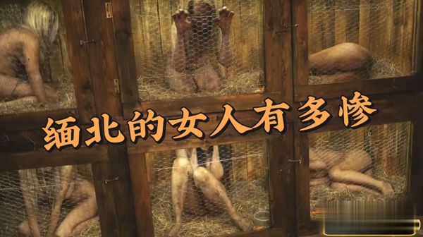 被关在缅北的女人们真惨