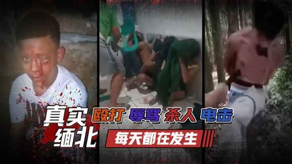 强奸 殴打 辱骂 杀人 电击每天都在发生