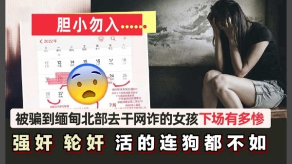 被骗到缅甸北部干网络诈骗的女孩到底有多惨？？强奸轮奸活得连狗都不如