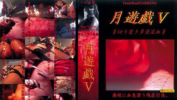 TK-005月遊戯5　切り裂き多量流血