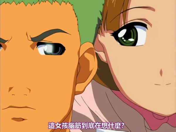 闭锁病栋后编