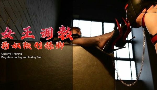 女王调教狗奴鞭刑舔脚