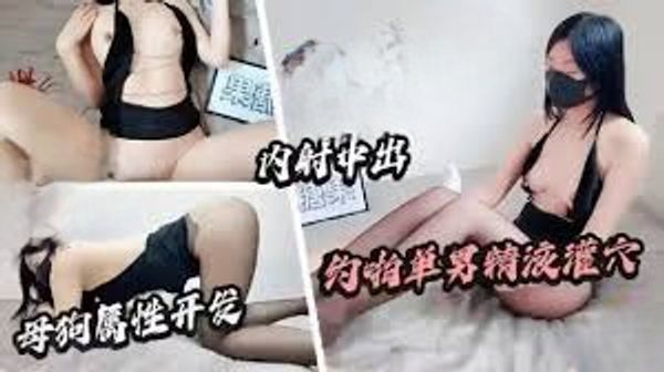 【淫荡母狗】主人的任务 约啪单男 母狗属性全开发 乳夹皮鞭抽打调教 被操的骚语连篇内射