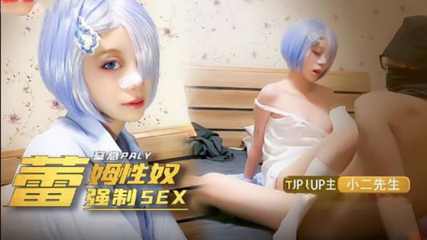 我的奴隶 coser雷姆萝莉
