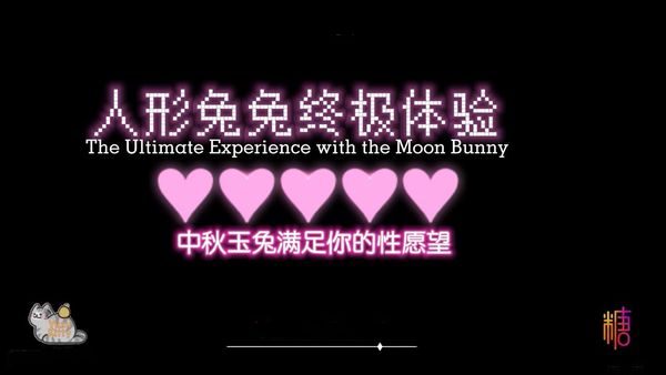 人形兔兔终极体验