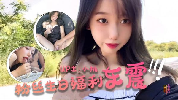 【小桃酱】-粉丝生日祭 - 车震福利