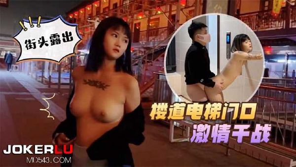 思思 街头露出 楼道电梯门口激情干战