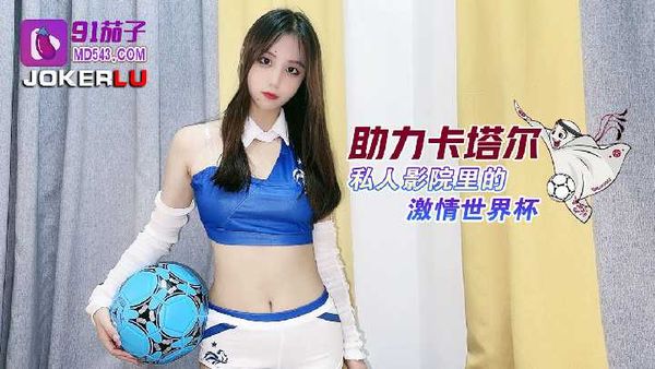 助力卡塔尔私人影院里的激情世界杯