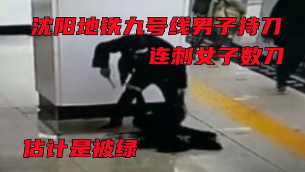 刚刚发生沈阳地铁九号线男子连刺女子数刀，估计是被绿了