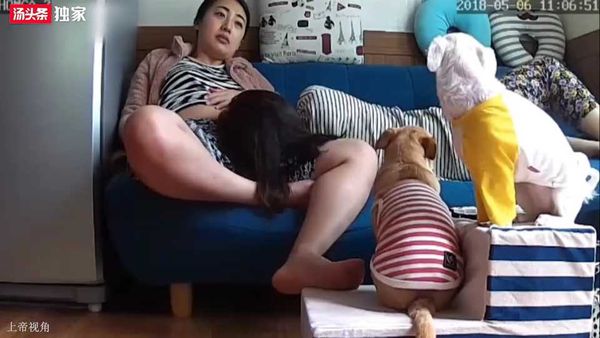 家庭摄像头一对同居百合家里客厅沙发上疯狂互相吃奶,淫叫受不了激情磨豆腐,宠物狗来观战