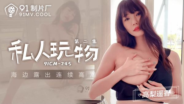 91制片厂 91CM-245 私人玩物2 高梨遥香 中文字幕