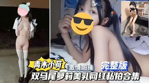 极品萝莉被操完整版双马尾萝莉美乳网红私拍合集