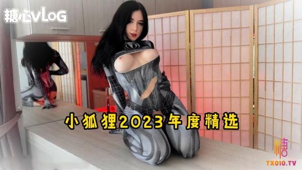 SweetieFox(小狐狸)-2023年精选合集-合集内射