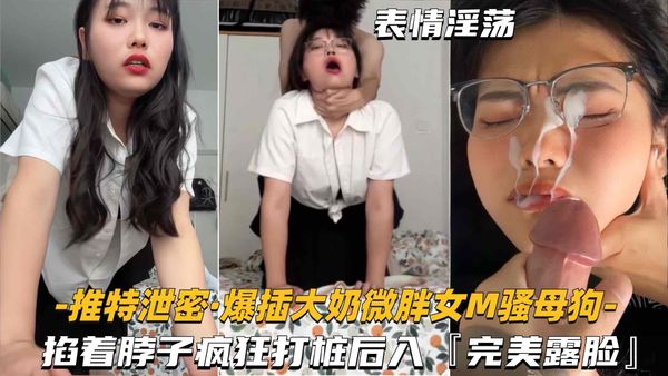 推特泄密-爆差大奶微胖女M骚母狗掐着脖子疯狂打桩后入，完美露脸
